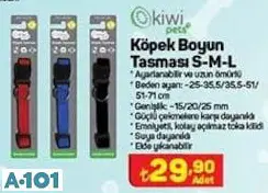 KİWİ KÖPEK BOYUN TASMASI